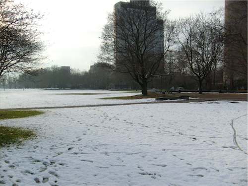 Cologne's Grüngürtel covered in snow, 2010-11-27 Cologne's Grüngürtel covered in snow, 2010-11-27
